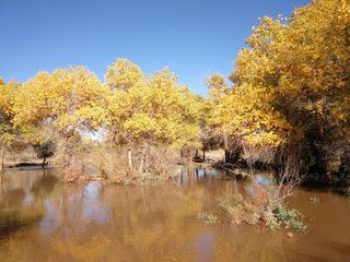 内蒙古额济纳沿途游记