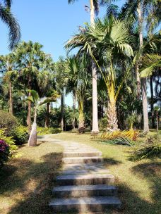 珠江公园-广州-野渡