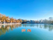 大明湖景区-济南-青岛大胡子斑马