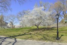 Aobagaoka Park景点图片