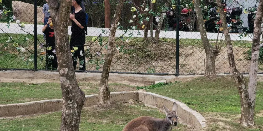 永安旅遊
