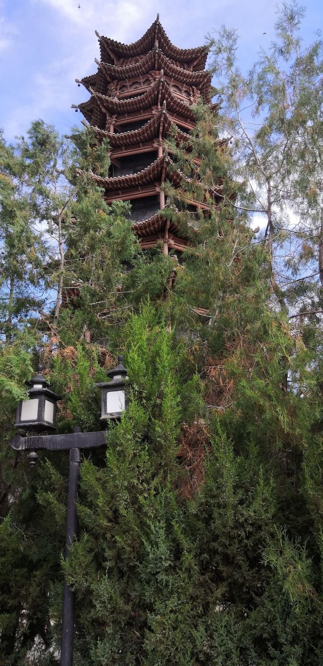 木塔寺旅行图片 4