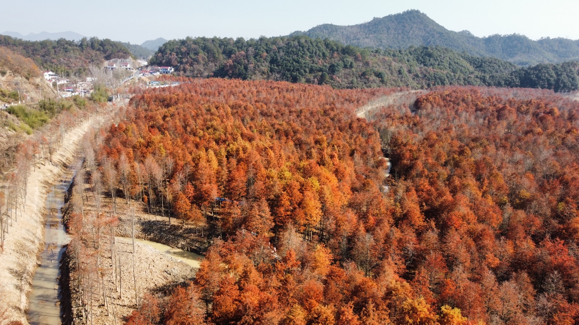 大红灯笼(江东店)餐厅图片