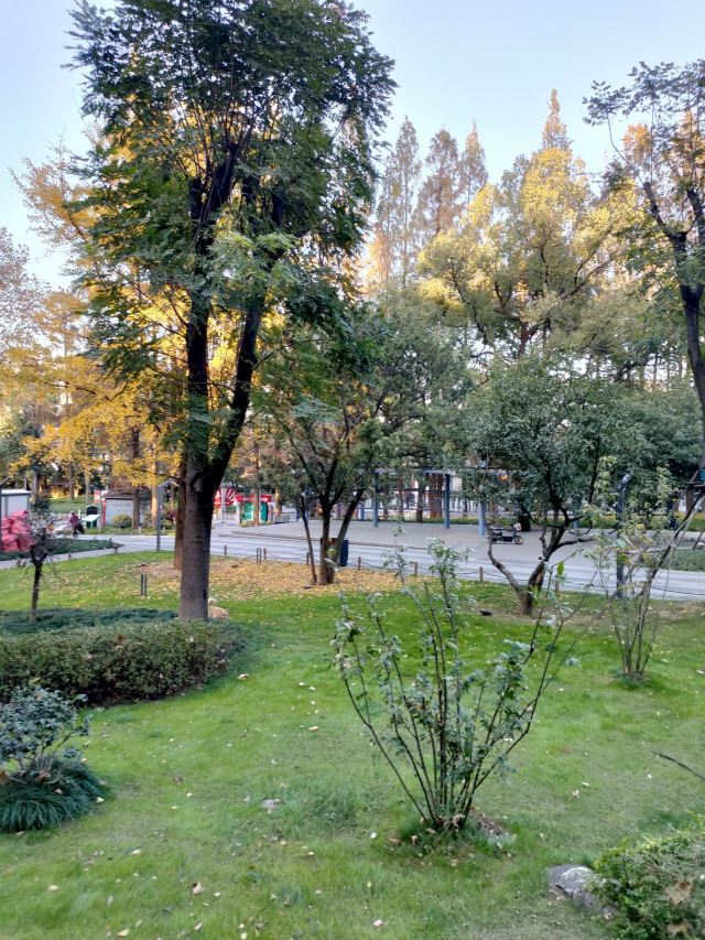 汉阳门花园旅行图片 7