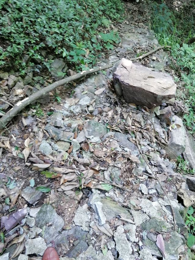 屏山悬索玻璃桥旅行图片 1
