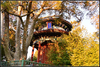 重阳节登景山，揽胜京华第一。