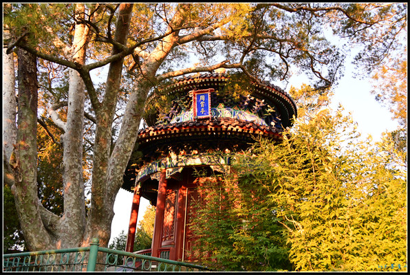 重阳节登景山，揽胜京华第一。