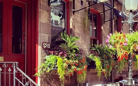 White Dog Cafe