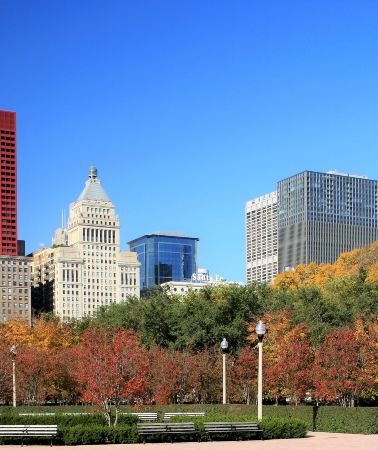 8D7N • Chicago + Detroit + New York