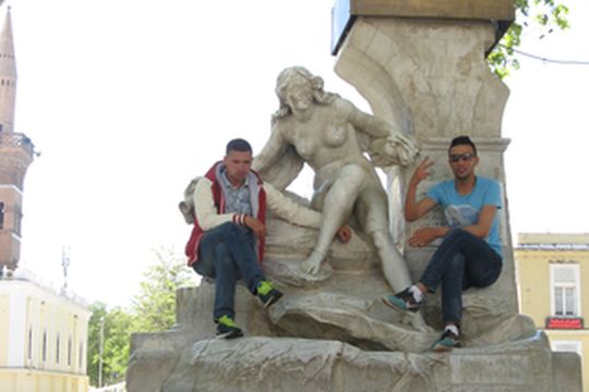 阿尔及利亚：石油与雕塑