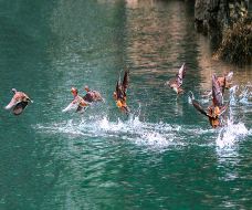 十二背后·清溪峡景区-绥阳-C-IMAGE