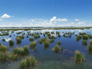 九寨黄龙红原若尔盖8日自驾闲游