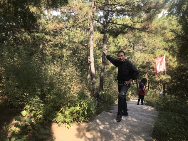 黑马关森林公园旅行图片 2
