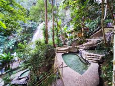 樱花谷-腾冲-梦中草枫