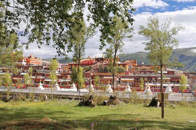 大金寺旅行图片 1