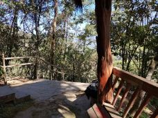 樱花谷-腾冲-YoYo_4Y2Z6A5I