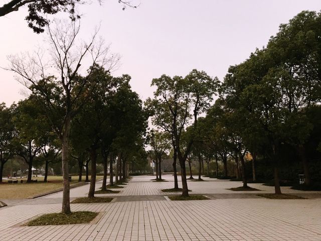 新江湾城公园旅行图片 2