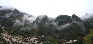 佛子山上百合花开（上）