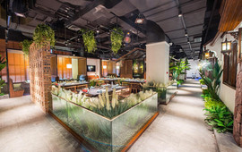 齐河孔雀王温泉酒店