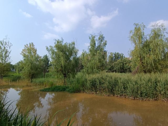 长安城市公园(樊川公园)旅行图片 2