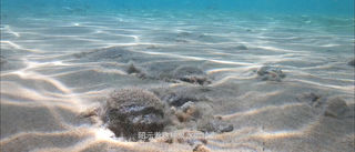 来“华夏一绝”泡沙浪浴,大写的好玩!