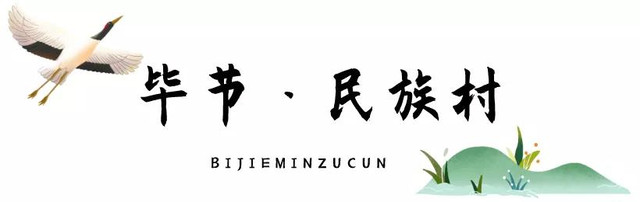 乡游黔中│十里碧波,当草海遇见黑颈鹤,亲历一场候鸟的归去来兮
