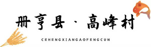 册亨游记图文-乡游黔中·册亨县 高峰村 │ 风起麦田千层浪，美丽乡村入画来
