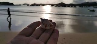 不去三亚,海南玩什么?