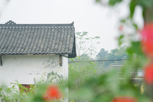 华蓥游记图文-走进华蓥，领略自然风光，体验红色文化