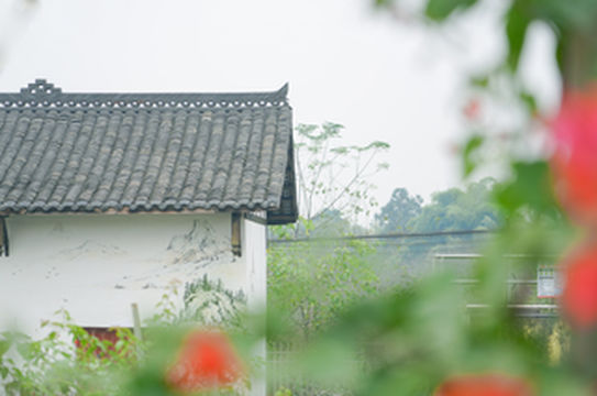 走进华蓥，领略自然风光，体验红色文化