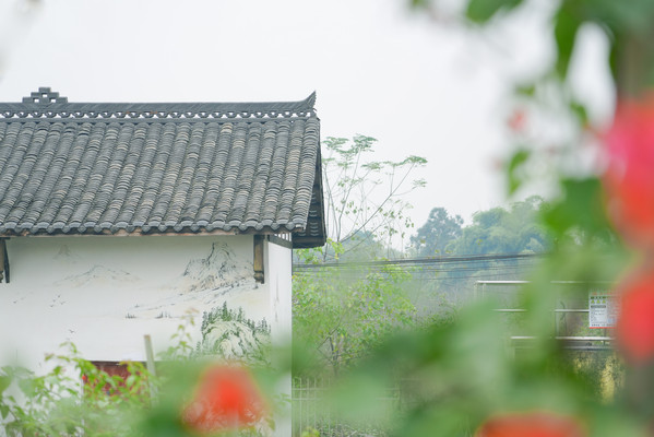 走进华蓥，领略自然风光，体验红色文化