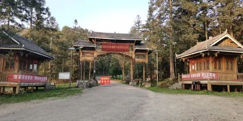 朱家山國家森林公園映山紅景區