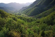 天阶山国家森林公园景点图片