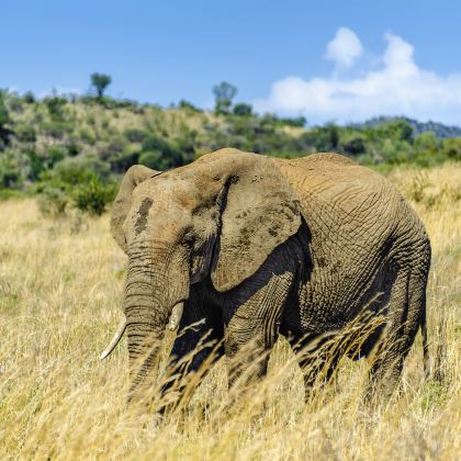 南非20日17晚跟团游
