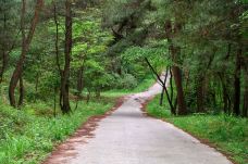 贵阳森林公园-贵阳