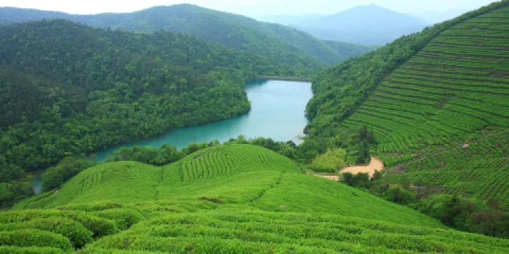 東錢湖福泉山景區
