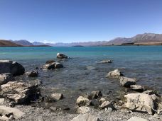 好牧羊人教堂-特卡波湖-gracewyin