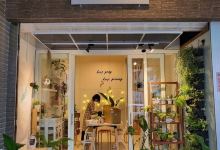 植物与猪植栽工作室购物图片