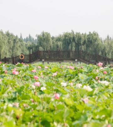 高淳区游记图文-莫负夏日好时光，带你领略南京高淳慢生活