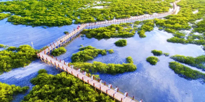 北海金海灣紅樹林生態旅遊區