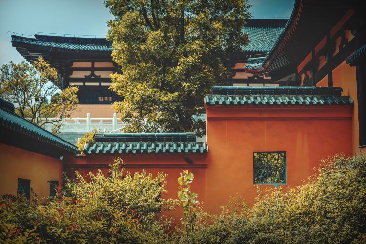 茱萸寺