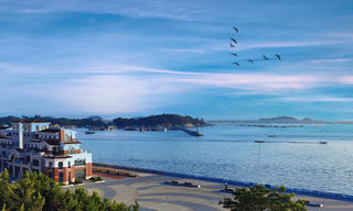 在东山岛，倾听左耳的声音