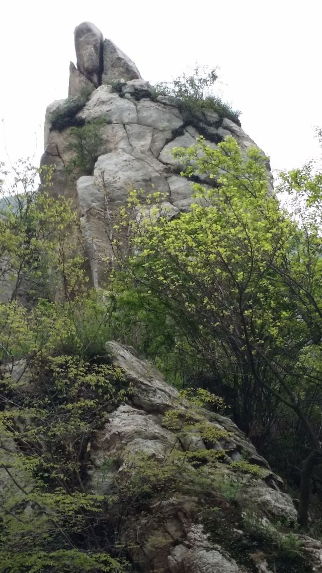 抱龙峪旅行图片 13