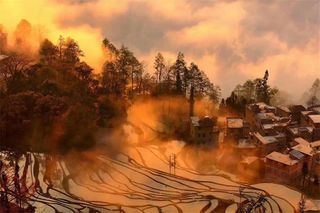 云南元阳多依树云上小院客栈,美女在花田间起舞,惊艳了整个秋天!