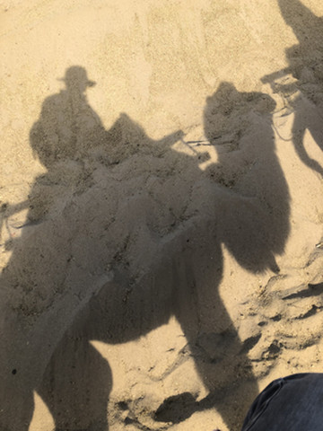 大西北之青甘大环线（2600公里）