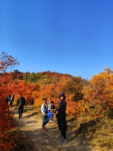 仙台山-井陉-10700415