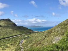 竹林-茂宜县-东张西望望东西