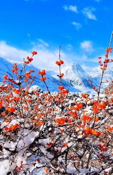 来古冰川-八宿-pekingwang