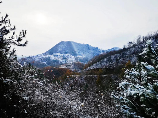 赏雪 在瀛湖也可以!