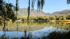半月湖畔自然公园-俱知安町-泾县慕容垂